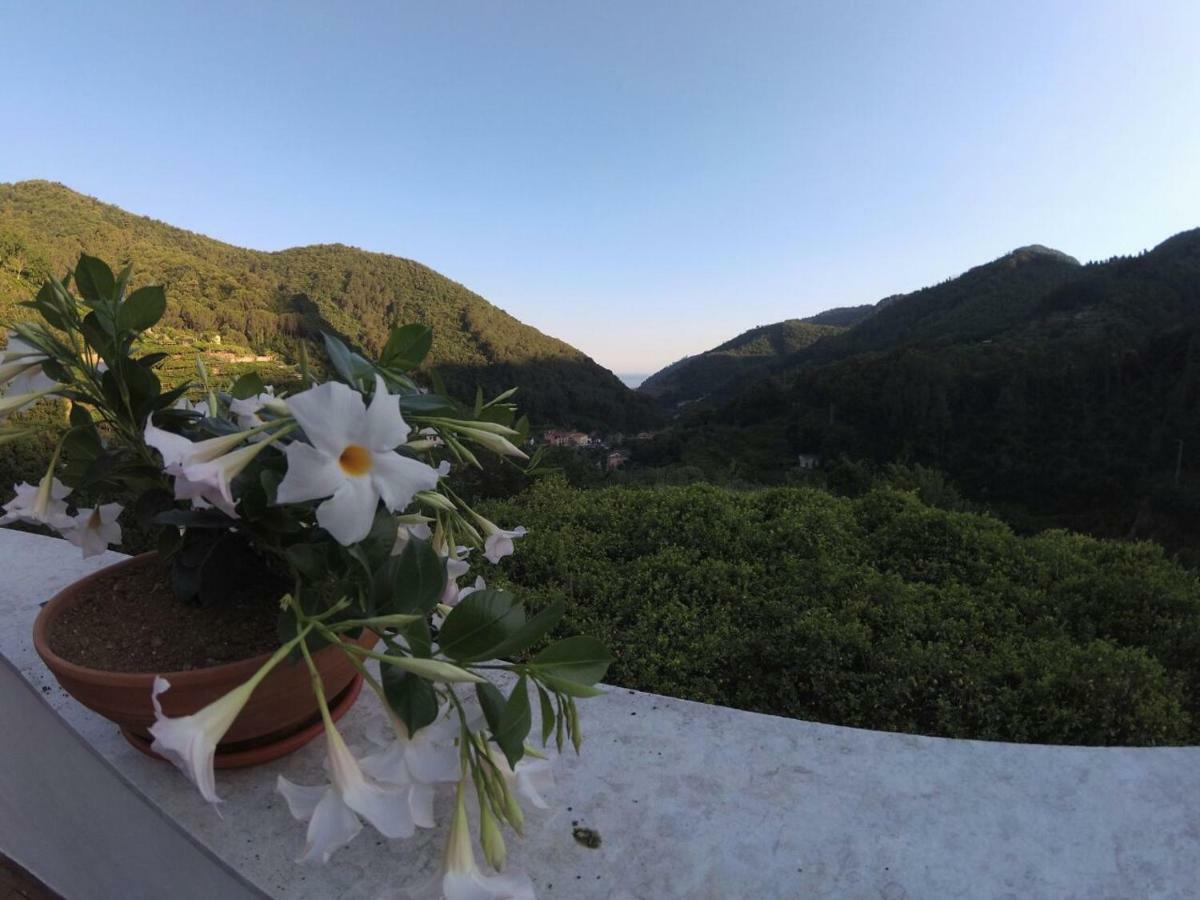 B&B Bouganville Tramonti Exterior photo